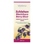 Schlehen Blackthorn 200ml